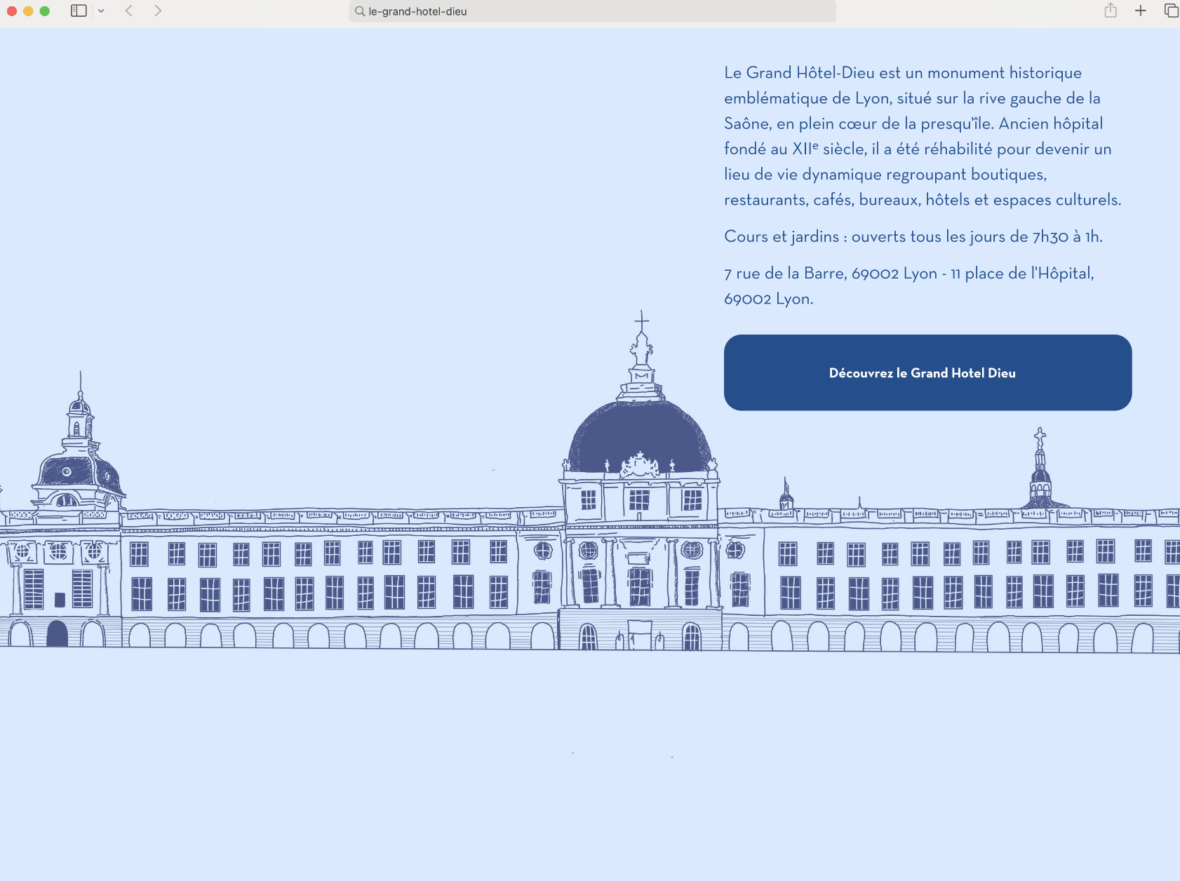 Interface Hotel Dieu Lyon